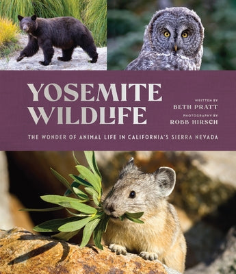Yosemite Wildlife: The Wonder of Animal Life in California's Sierra Nevada by Pratt, Beth