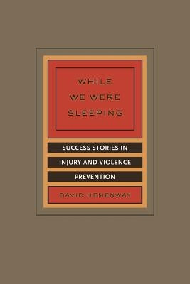 While We Were Sleeping: Success Stories in Injury and Violence Prevention by Hemenway, David