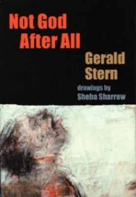 Not God After All by Stern, Gerald