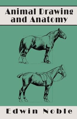 Animal Drawing and Anatomy by Noble, Edwin