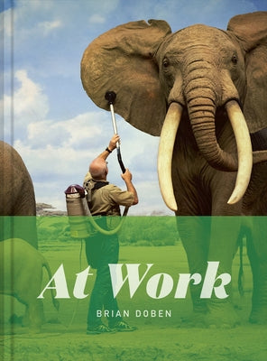 At Work by Doben, Brian