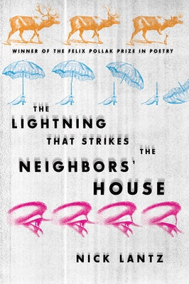Lightning That Strikes the Neighbors' House by Lantz, Nick