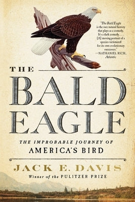 The Bald Eagle: The Improbable Journey of America's Bird by Davis, Jack E.