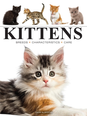 Kittens by Alderton, David