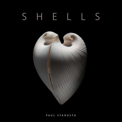 Shells by Portoghesi, Paolo