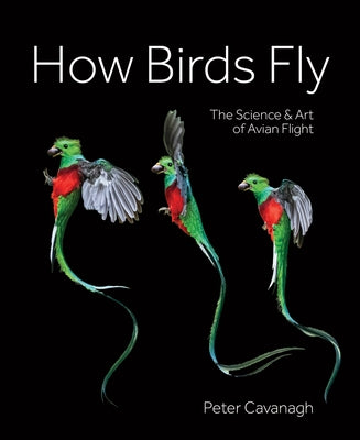 How Birds Fly: The Science and Art of Avian Flight by Cavanagh, Peter