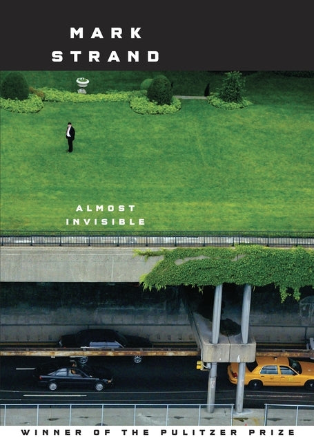 Almost Invisible by Strand, Mark