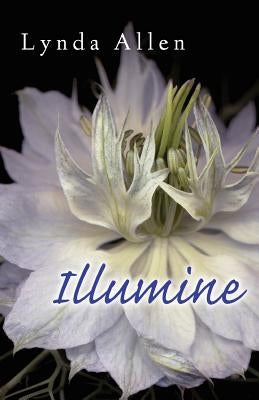 Illumine by Allen, Lynda