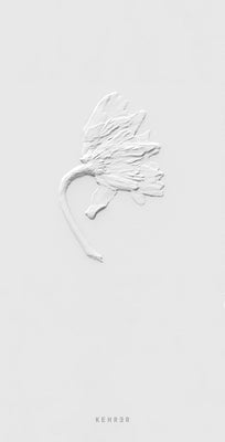 Ephemeral Field Journal: Climate + Love in Claude Monet's Garden by Schorr, Sarah