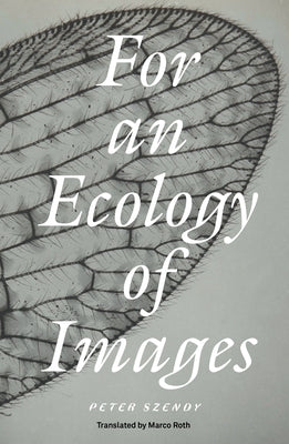 For an Ecology of Images by Szendy, Peter