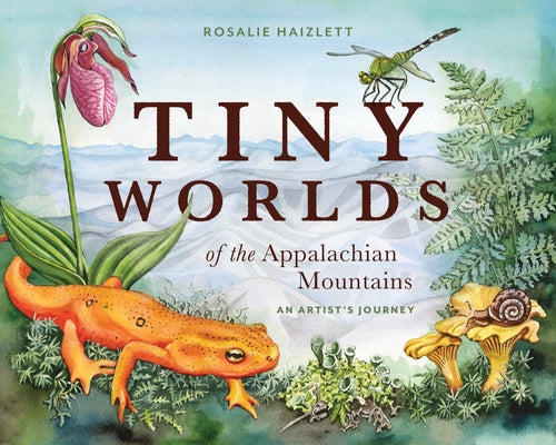 Tiny Worlds of the Appalachian Mountains: An Artist's Journey by Haizlett, Rosalie