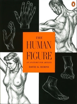 The Human Figure: An Anatomy for Artists by Rubins, David K.