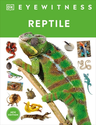 Eyewitness Reptile by McCarthy, Colin