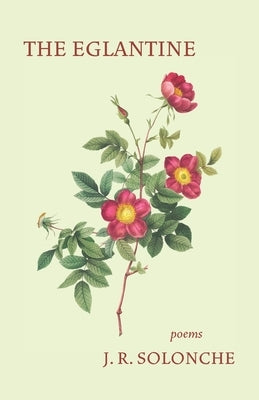 The Eglantine by Solonche, J. R.