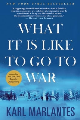 What It Is Like to Go to War by Marlantes, Karl