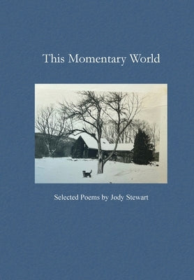 This Momentary World by Stewart, Jody