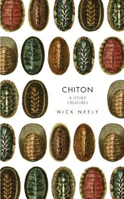 Chiton & Other Creatures by Neely, Nicholas