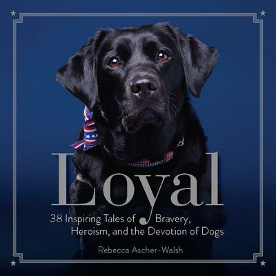 Loyal: 38 Inspiring Tales of Bravery, Heroism, and the Devotion of Dogs by Ascher-Walsh, Rebecca