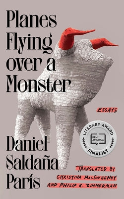 Planes Flying Over a Monster: Essays by ParÃ­s, Daniel SaldaÃ±a