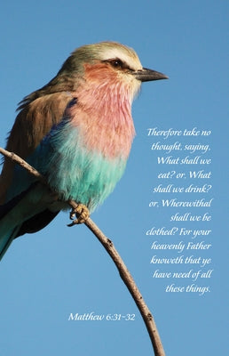 General Worship Bulletin: Your Heavenly Father Knoweth (Package of 100): Matthew 6:31-32 (Kjv) by Broadman Church Supplies Staff