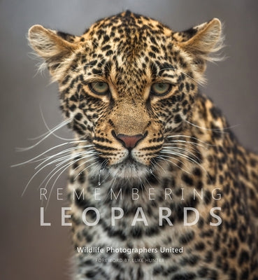 Remembering Leopards by Raggett, Margot