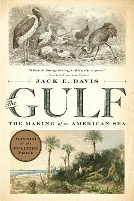 The Gulf: The Making of an American Sea by Davis, Jack E.