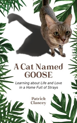 A Cat Named Goose: Learning about Life and Love in a Home Full of Strays by Clancey, Patrick