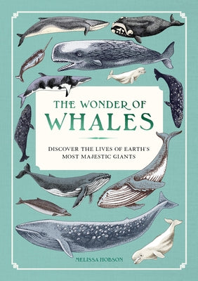 The Wonder of Whales: Discover the Lives of Earth's Most Majestic Giants by Hobson, Melissa