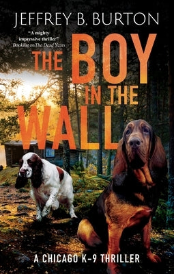 The Boy in the Wall by Burton, Jeffrey B.