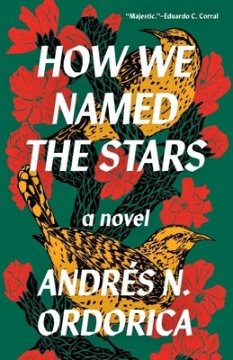 How We Named the Stars by Ordorica, Andr&#233;s N.