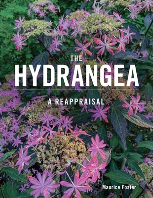 The Hydrangea: A Reappraisal by Foster, Maurice