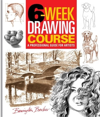 6-Week Drawing Course: A Professional Guide for Artists by Barber, Barrington