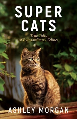 Super Cats: True Tales of Extraodinary Felines by Morgan, Ashley