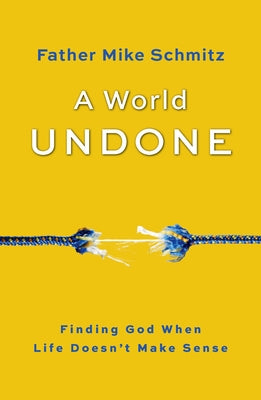 A World Undone: Finding God When Life Doesn't Make Sense by Schmitz, Fr Mike