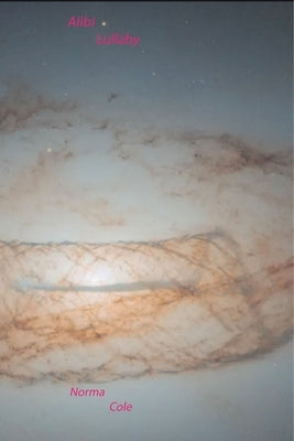 Alibi Lullaby by Cole, Norma