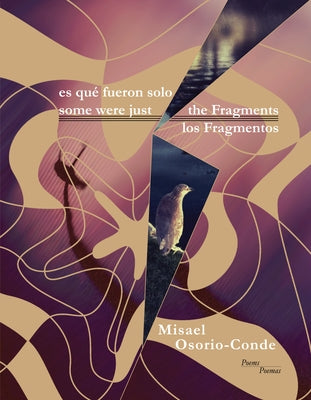 Some Were Just the Fragments // Es Que Fueron Solo Los Fragmentos by Osorio-Conde, Misael