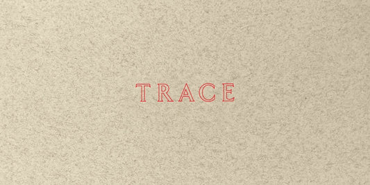 Jenny Holzer: Trace by Holzer, Jenny