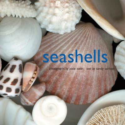 Seashells by Iselin, Josie