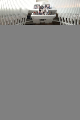 Architecture and the Public Good by Spector, Tom