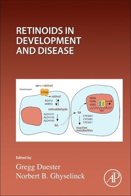 Retinoids in Development and Disease: Volume 161 by Ghyselinck, Norbert
