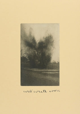 Will Write Soon by Thomson, David