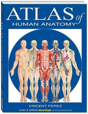 Atlas of the Human Anatomy: A Quickstudy Reference by Perez, Vincent
