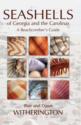 Seashells of Georgia and the Carolinas: A Beachcomber's Guide by Witherington, Blair