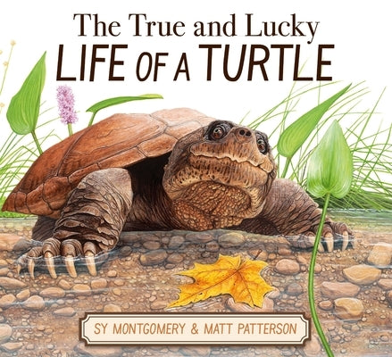The True and Lucky Life of a Turtle by Montgomery, Sy