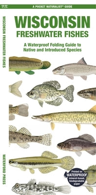 Wisconsin Freshwater Fishes: A Waterproof Folding Guide to Native and Introduced Species by Morris, Matthew