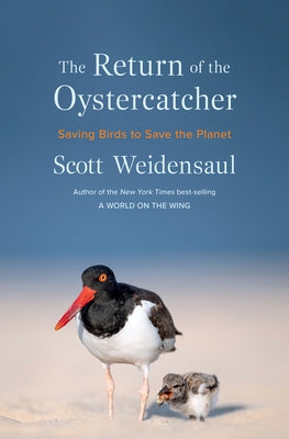 The Return of the Oystercatcher: Saving Birds to Save the Planet by Weidensaul, Scott