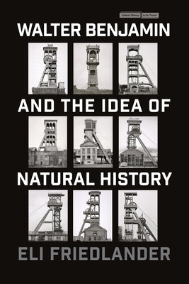 Walter Benjamin and the Idea of Natural History by Friedlander, Eli