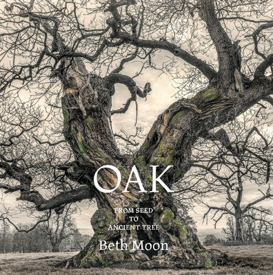 Oak: From Seed to Ancient Tree by Moon, Beth