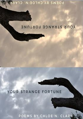 Your Strange Fortune by Clark, Chloe N.