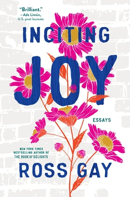 Inciting Joy: Essays by Gay, Ross